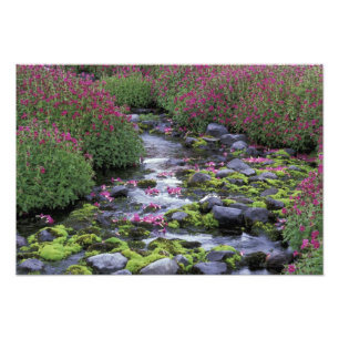 North America, USA, Washington, Mt. Rainier 3 Photo Print