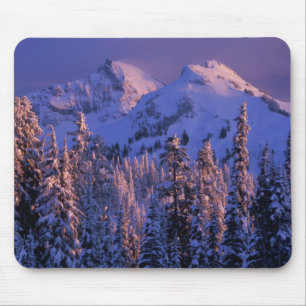 North America, USA, Washington, Mt. Rainier 4 Mouse Pad