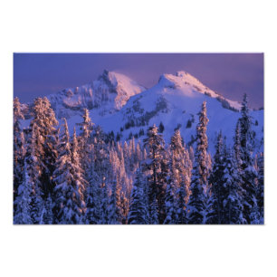 North America, USA, Washington, Mt. Rainier 4 Photo Print