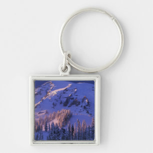North America, USA, Washington, Mt. Rainier 5 Key Ring