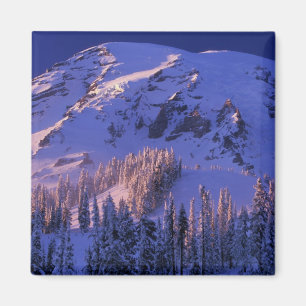 North America, USA, Washington, Mt. Rainier 5 Magnet