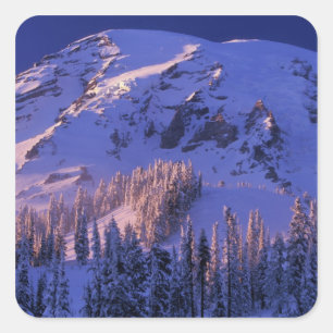 North America, USA, Washington, Mt. Rainier 5 Square Sticker