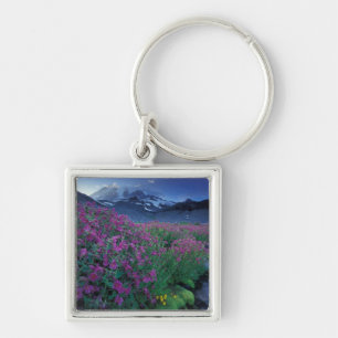 North America, USA, Washington, Mt. Rainier 6 Key Ring