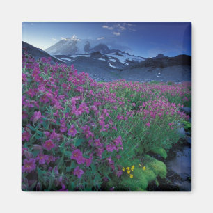 North America, USA, Washington, Mt. Rainier 6 Magnet