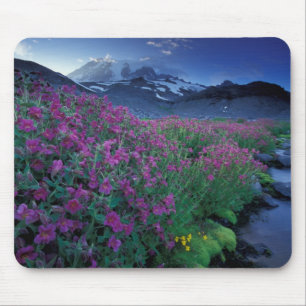 North America, USA, Washington, Mt. Rainier 6 Mouse Pad