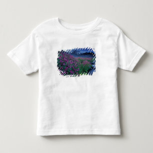 North America, USA, Washington, Mt. Rainier 6 Toddler T-Shirt
