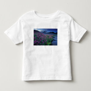North America, USA, Washington, Mt. Rainier 6 Toddler T-Shirt