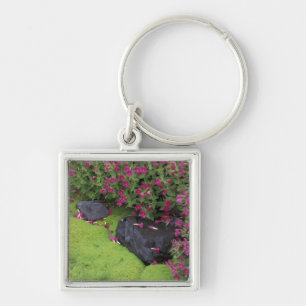 North America, USA, Washington, Mt. Rainier Key Ring