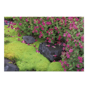 North America, USA, Washington, Mt. Rainier Photo Print