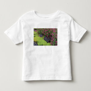 North America, USA, Washington, Mt. Rainier Toddler T-Shirt