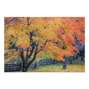North America, USA, Washington, Newhalem, Photo Print