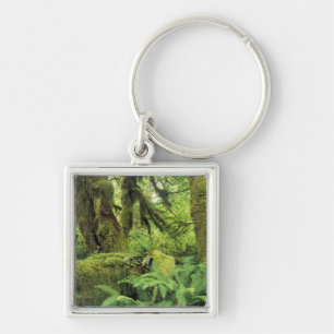 North America, USA, Washington, Olympic 3 Key Ring