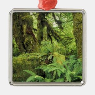 North America, USA, Washington, Olympic 3 Metal Ornament