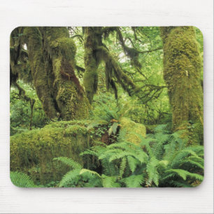 North America, USA, Washington, Olympic 3 Mouse Pad