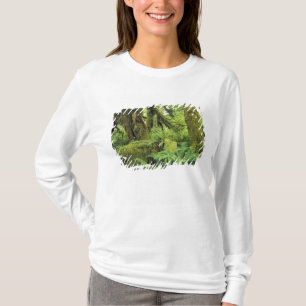 North America, USA, Washington, Olympic 3 T-Shirt
