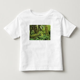 North America, USA, Washington, Olympic 3 Toddler T-Shirt