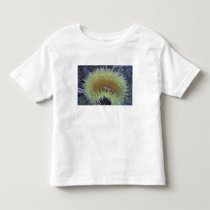 North America, USA, Washington, Olympic 4 Toddler T-Shirt