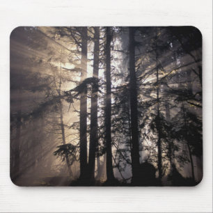 North America, USA, Washington, Olympic NF, Mouse Pad