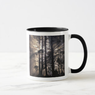 North America, USA, Washington, Olympic NF, Mug