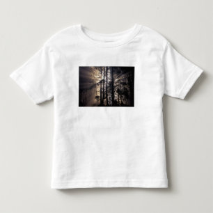 North America, USA, Washington, Olympic NF, Toddler T-Shirt