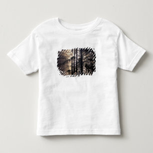 North America, USA, Washington, Olympic NF, Toddler T-Shirt