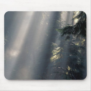 North America, USA, Washington, Olympic NP, Mouse Pad