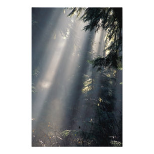 North America, USA, Washington, Olympic NP, Photo Print