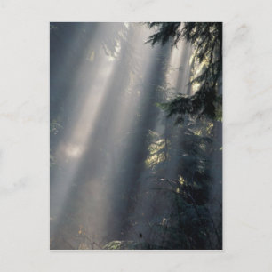 North America, USA, Washington, Olympic NP, Postcard
