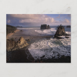 North America, USA, Washington, Olympic NP, Postcard