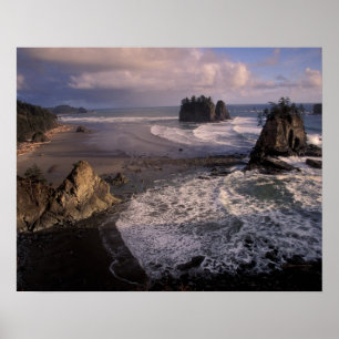 North America, USA, Washington, Olympic NP, Poster