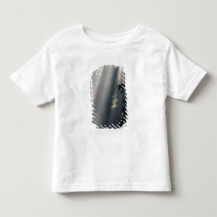 North America, USA, Washington, Olympic NP, Toddler T-Shirt
