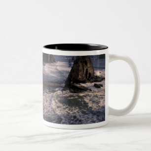 North America, USA, Washington, Olympic NP, Two-Tone Coffee Mug