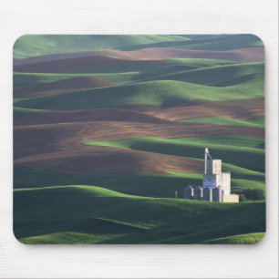 North America, USA, Washington, Palouse. The Mouse Pad