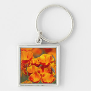 North America, USA, Washington, Seattle Key Ring
