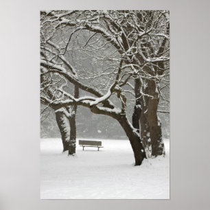 North America, USA, Washington, Seattle, Snow 2 Poster