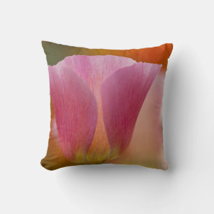 North America, USA, Washington, Seattle, Summer 2 Cushion
