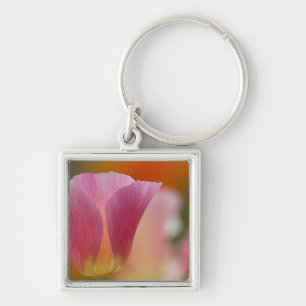 North America, USA, Washington, Seattle, Summer 2 Key Ring