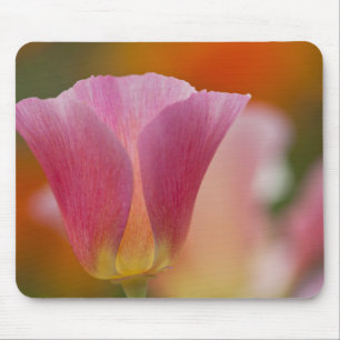 North America, USA, Washington, Seattle, Summer 2 Mouse Pad