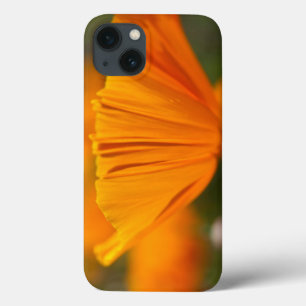 North America, USA, Washington, Seattle, Summer iPhone 13 Case
