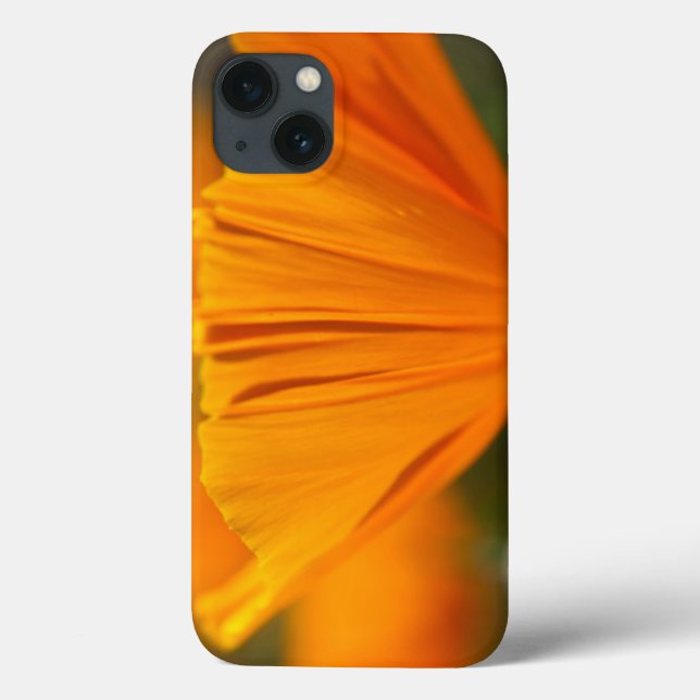 North America, USA, Washington, Seattle, Summer Case-Mate iPhone Case (Back)