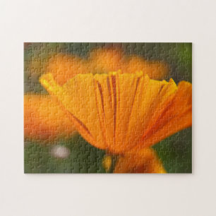 North America, USA, Washington, Seattle, Summer Jigsaw Puzzle