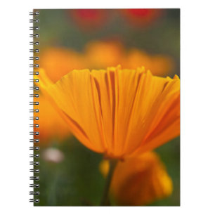 North America, USA, Washington, Seattle, Summer Notebook