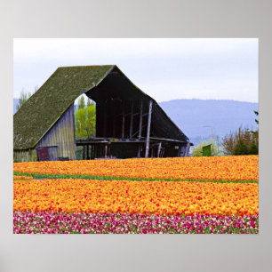 North America, USA, Washington, Skagit Valley. 2 Poster