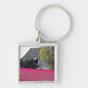 North America, USA, Washington, Skagit Valley. Key Ring