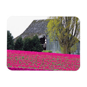 North America, USA, Washington, Skagit Valley. Magnet