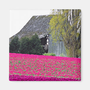 North America, USA, Washington, Skagit Valley. Magnet