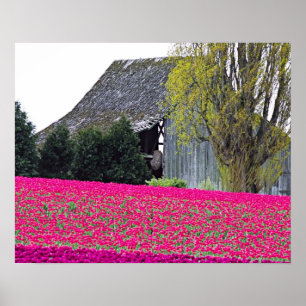 North America, USA, Washington, Skagit Valley. Poster