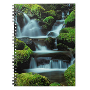 North America; USA; Washington, Sol Duc Cascade Notebook