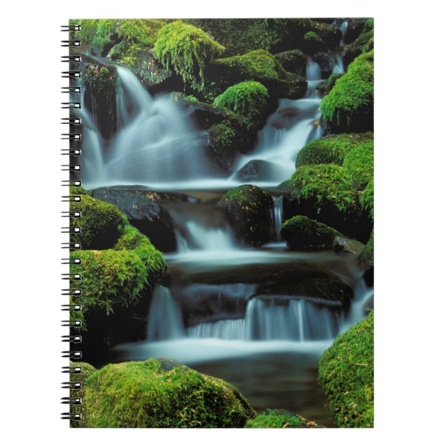 North America; USA; Washington, Sol Duc Cascade Notebook (Front)