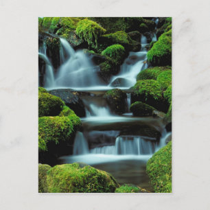 North America; USA; Washington, Sol Duc Cascade Postcard